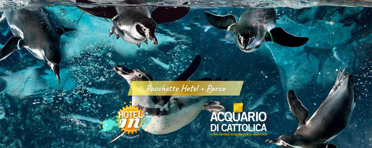 Offerte Agosto all’Acquario di Cattolica Hotel Cesenatico