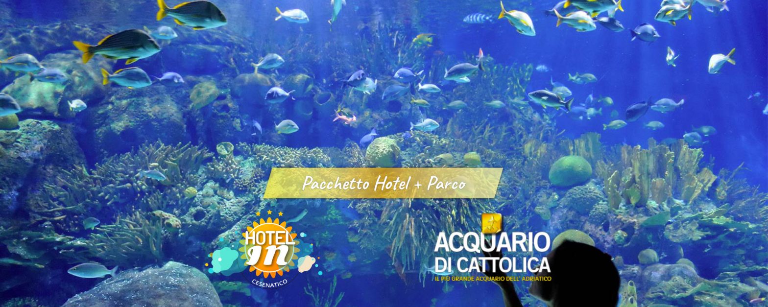 Offerte Luglio Acquario di Cattolica - Hotel In Cesenatico